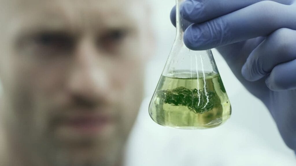 Benefits-of-Medical-Marijuana-RI