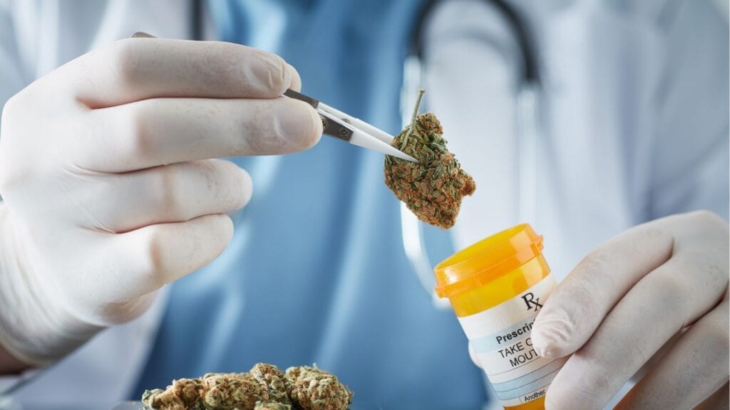 Choosing-Medical-Marijuana-Strains