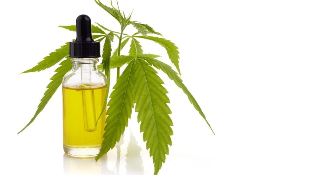 Medical-Marijuana-Growing-Process