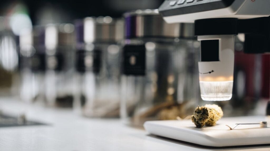 finding-quality-dispensaries-rhode-island