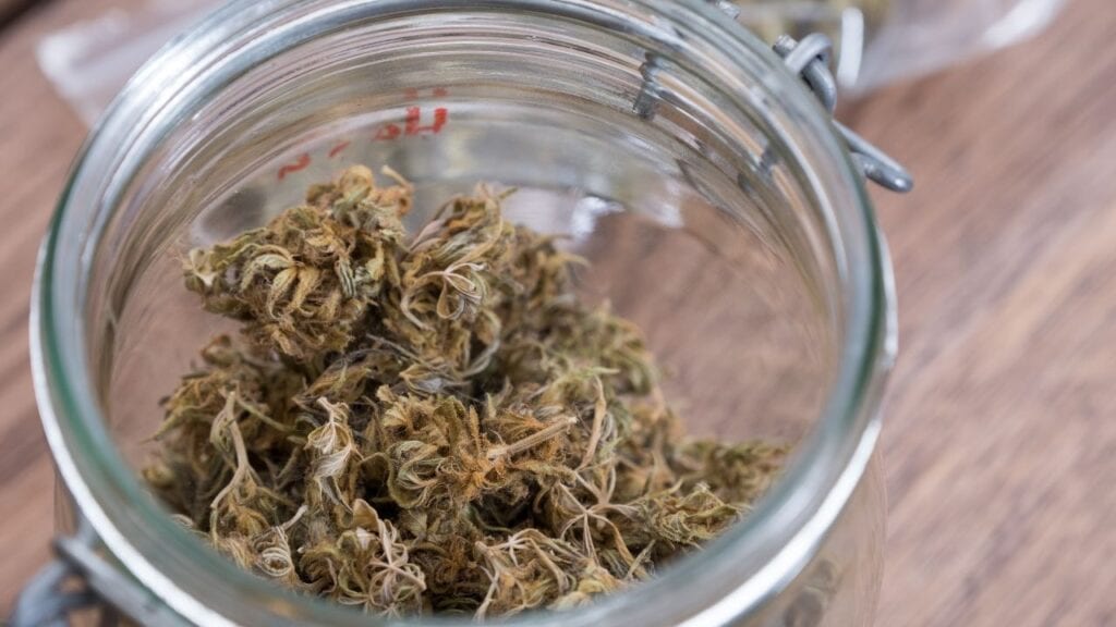 medical-cannabis-safety-best-practices