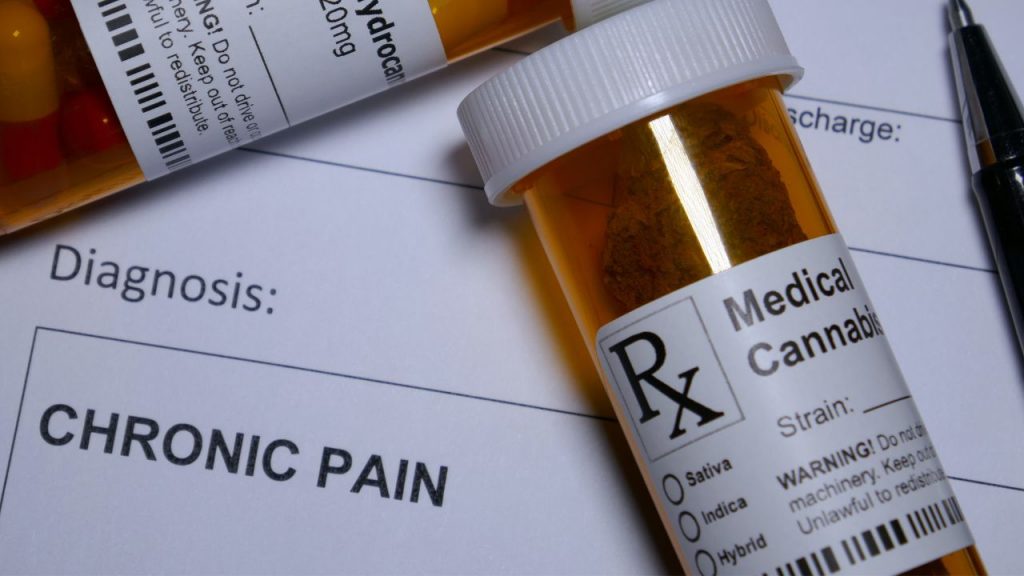 Exploring-the-Potential-of-Medical-Marijuana-for-Chronic-Pain-Relief